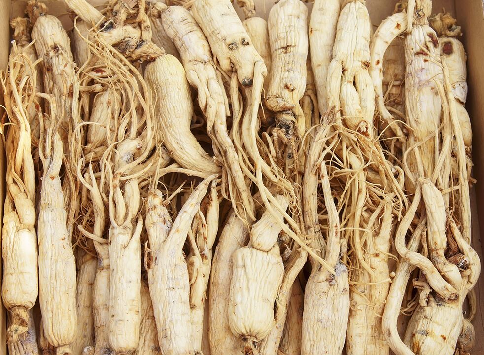 On the basis of ginseng root, you can prepare a potion to increase potency